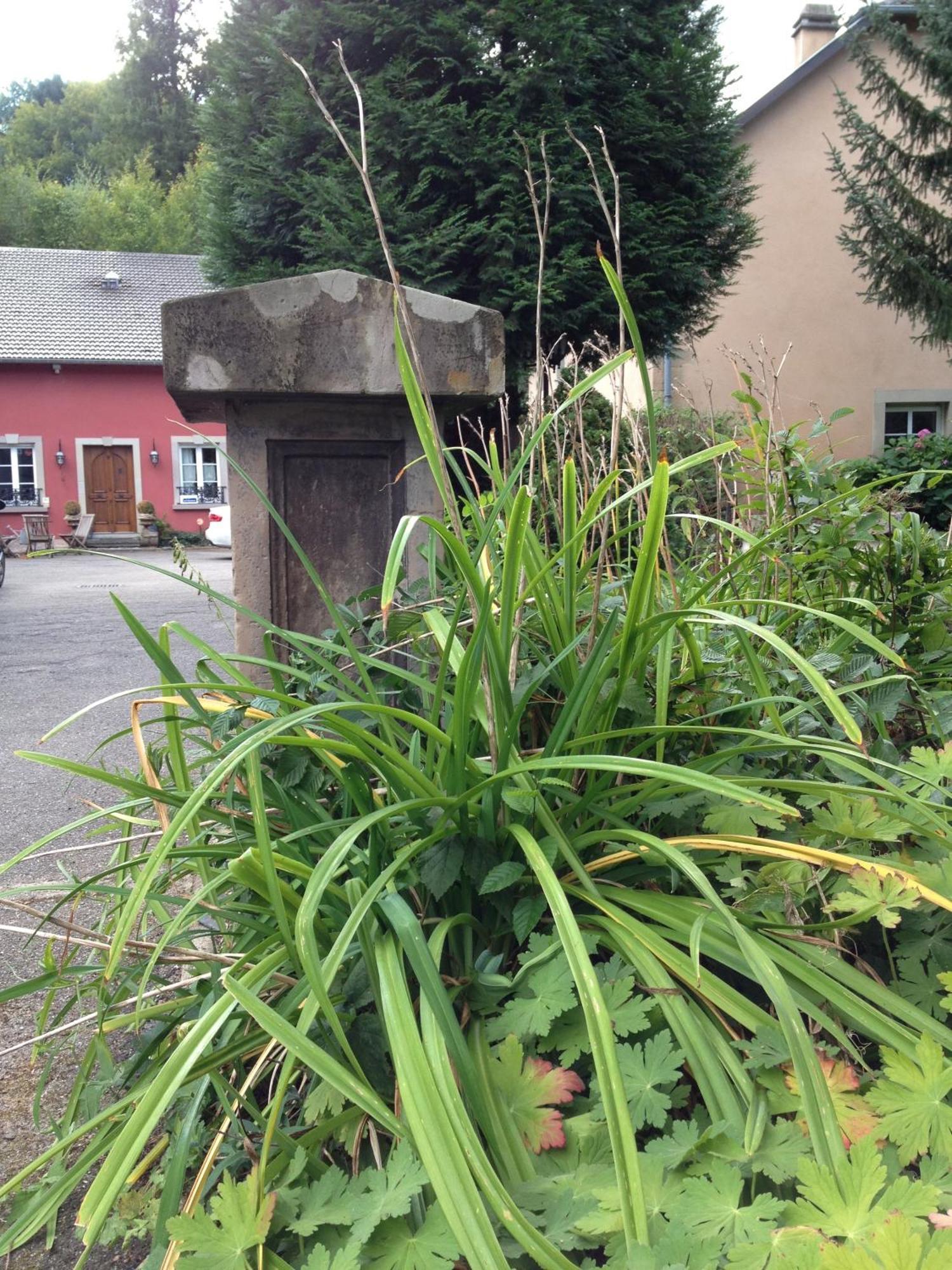 Logis Hotel Domaine Du Moulin Saint-Avold Luaran gambar