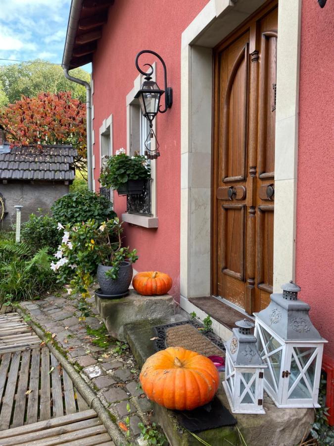 Logis Hotel Domaine Du Moulin Saint-Avold Luaran gambar